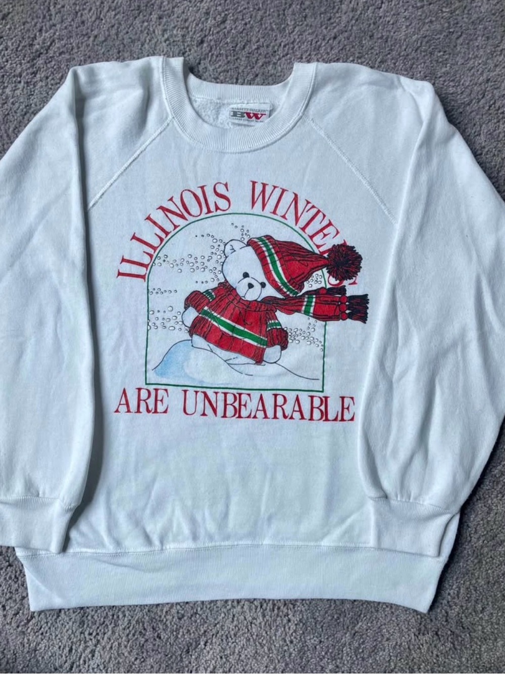 ‘Illinois Winters are Unbearable’ Vintage Sweatshirt- Size L